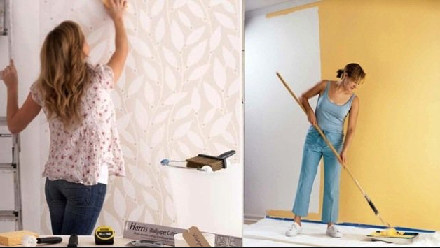 wallpaper vs cat