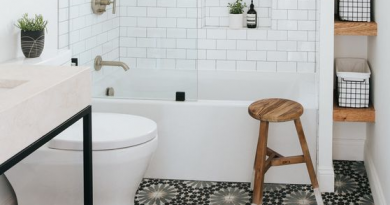 inspirasi bathtub minimalis 1