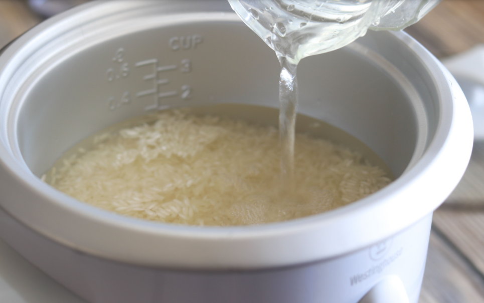 rice cooker