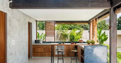 dapur dan taman belakang rumah minimalis