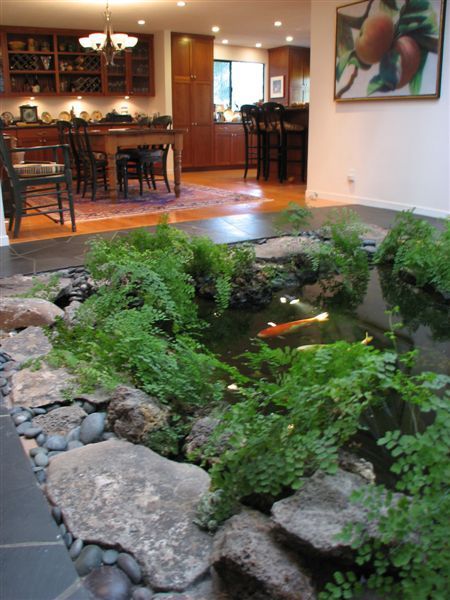kolam ikan dekat dapur