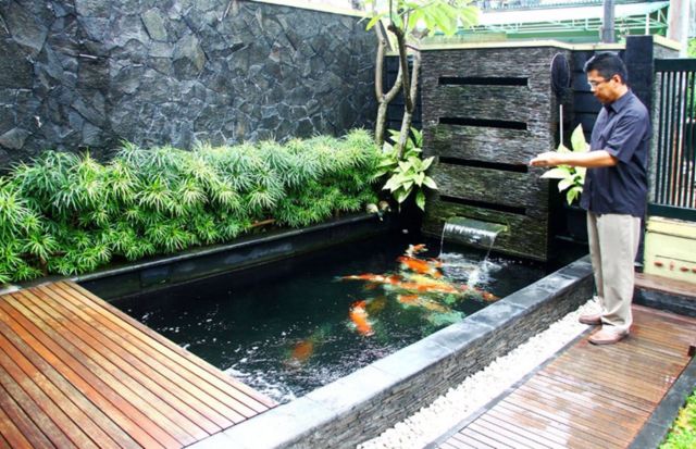 6 Desain Kolam Ikan Minimalis Menarik Beserta Harganya! | Blog QHOMEMART