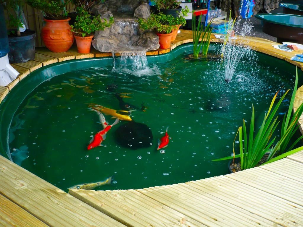 Kolam minimalis