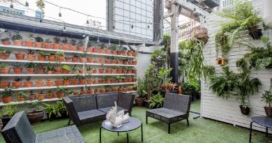 rooftop garden