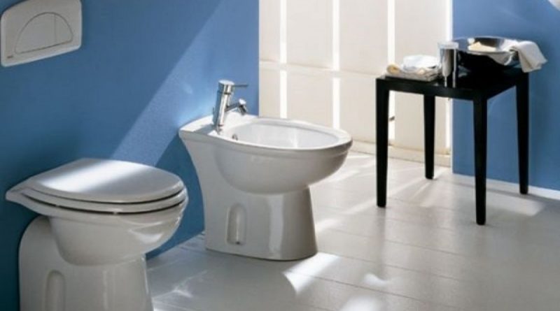 apa itu bidet