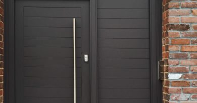 inspirasi model pintu rumah