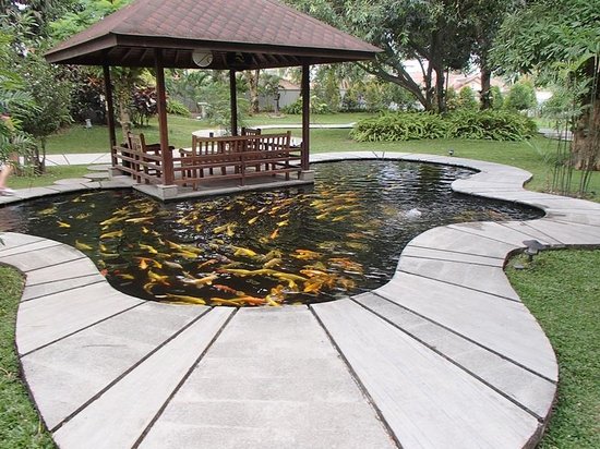 Mini gazebo kolam ikan