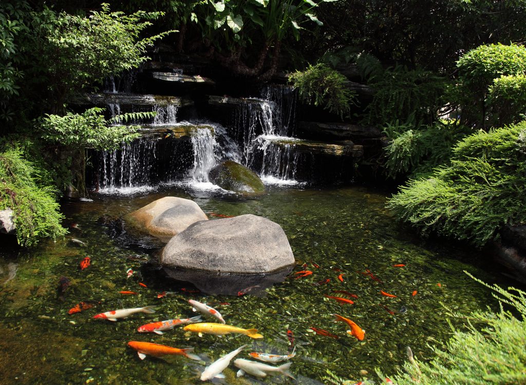 Kolam ikan natural