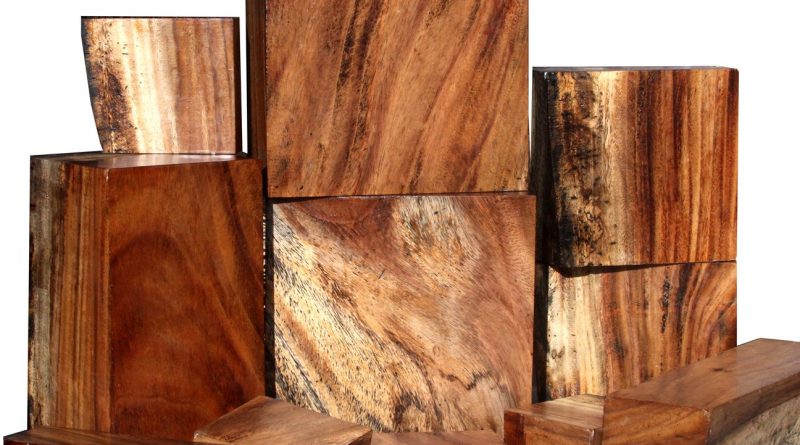 kayu trembesi