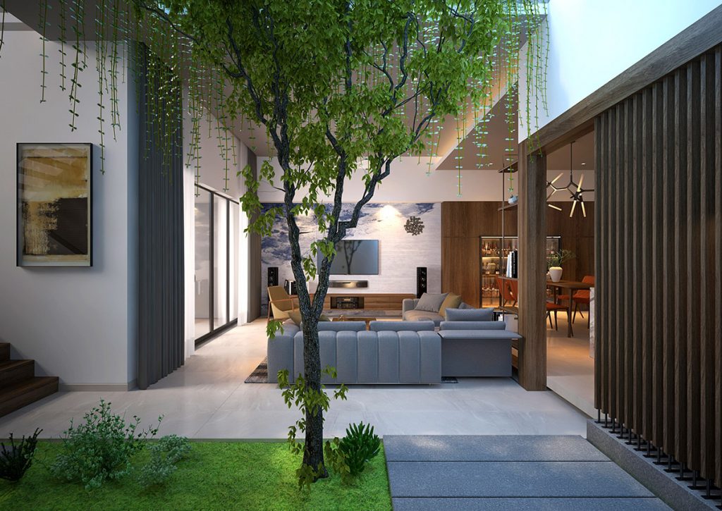 taman dalam rumah 6
