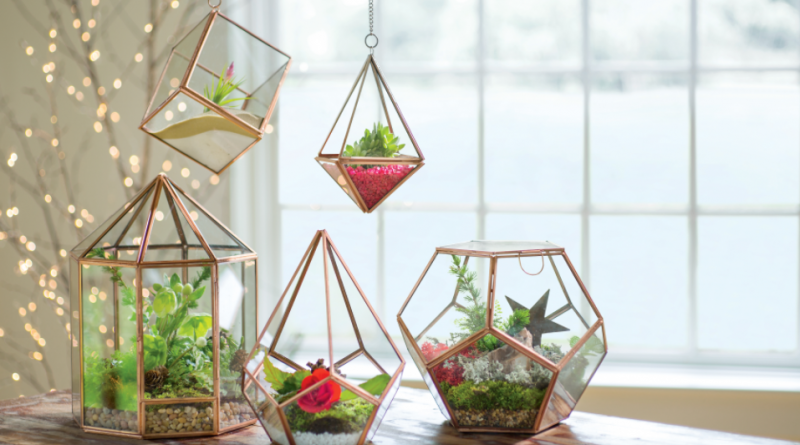 terrarium