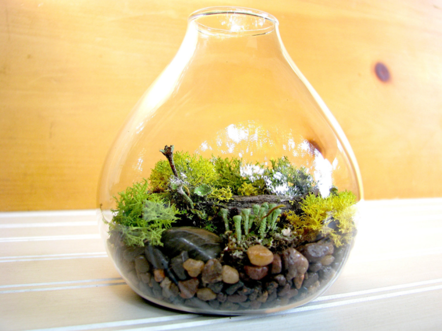 terrarium