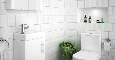 toilet minimalis
