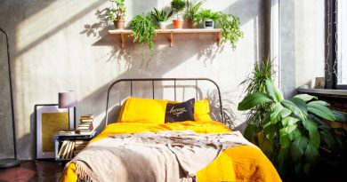 warna cat kamar tidur