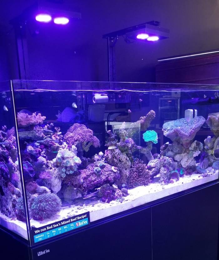 aquarium air laut cahaya