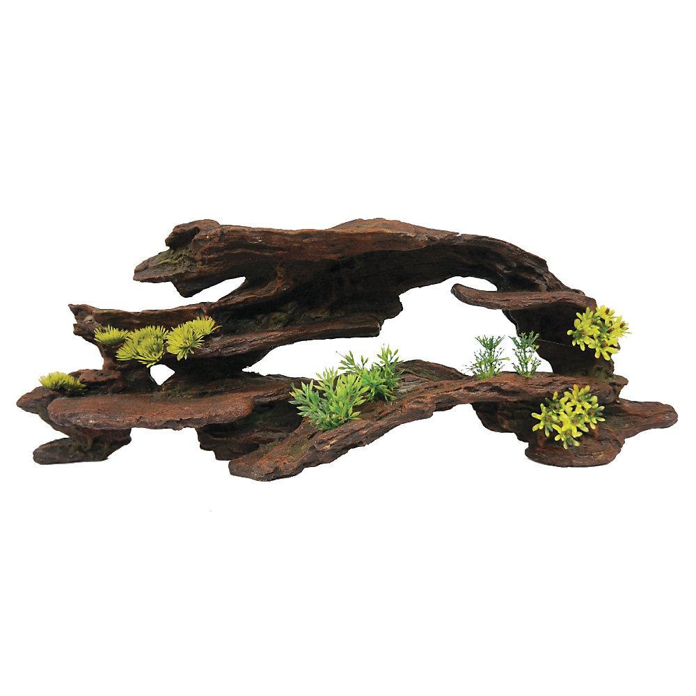 hiasan aquarium Driftwood