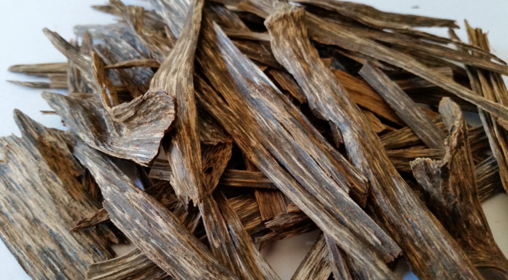 kayu gaharu