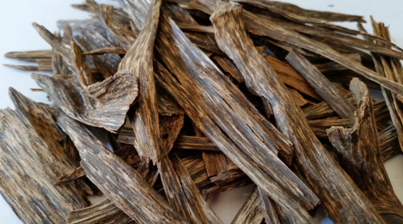 kayu gaharu 1