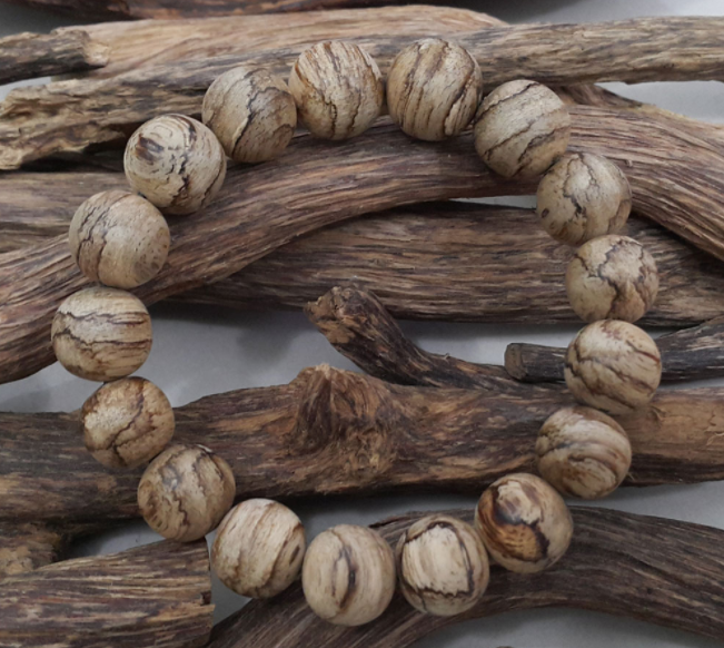 kayu gaharu