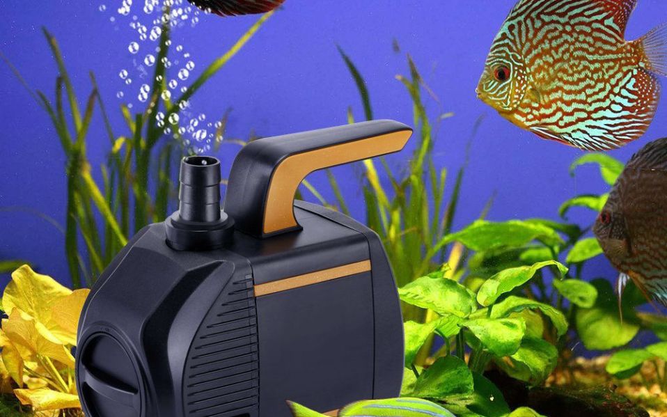 Merk pompa kolam Ikan koi Terbaik