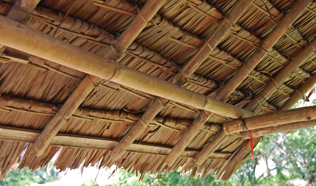 daun yang digunakan untuk membuat atap - ColbytaroCollier