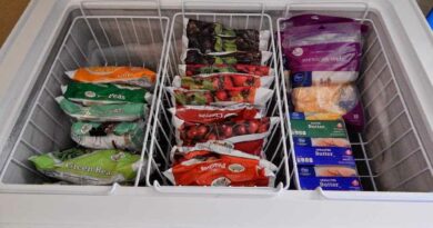 freezer box jogja