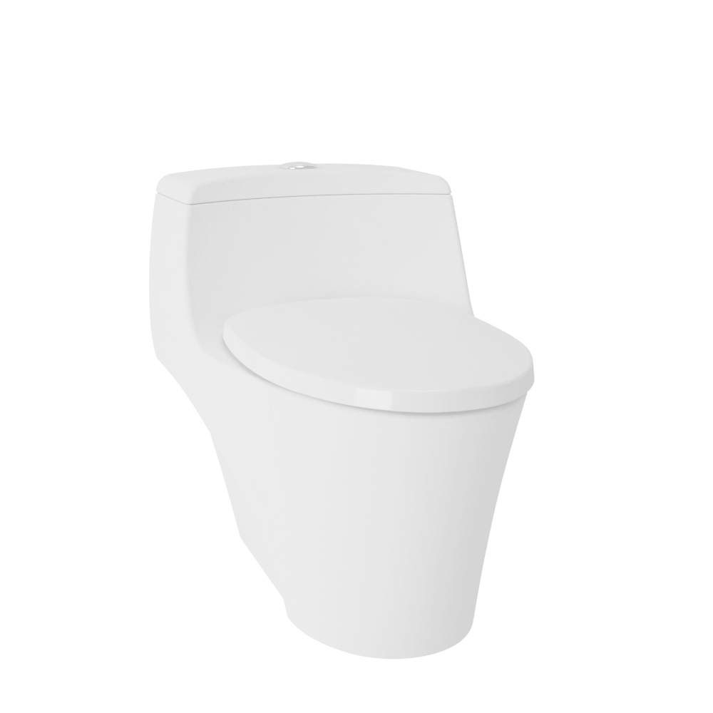 One Piece Toilet TOTO