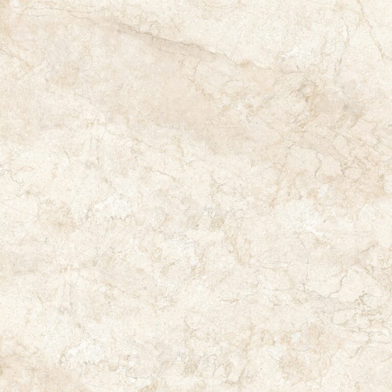 dNAPLES MARFIL roman 