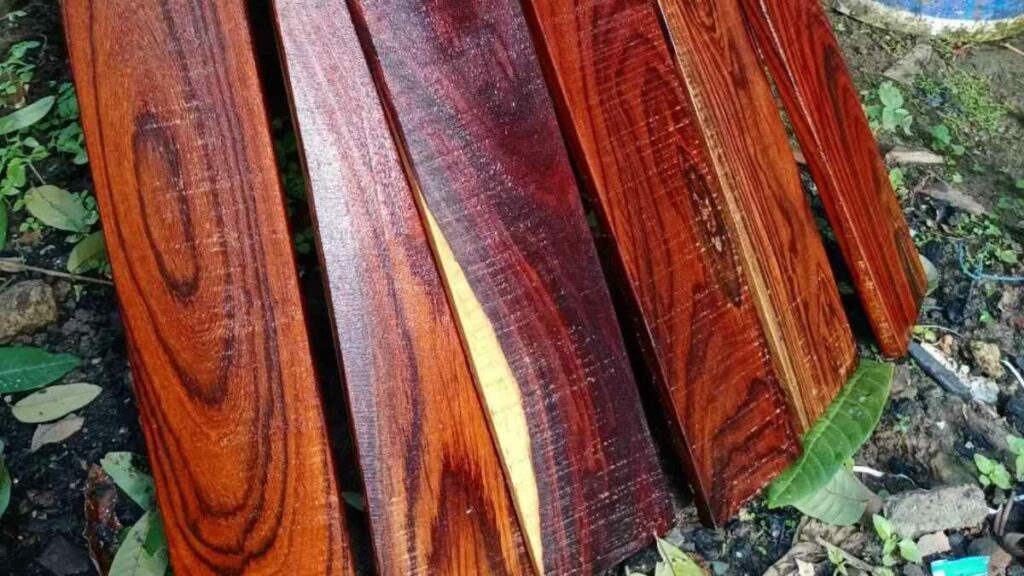 kayu sonokeling untuk lantai 