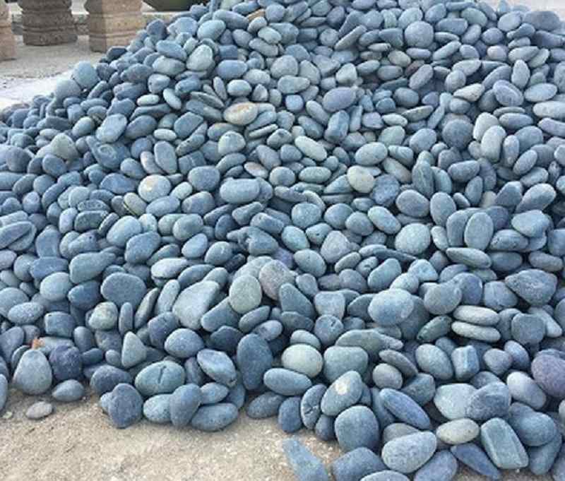 contoh batu coral