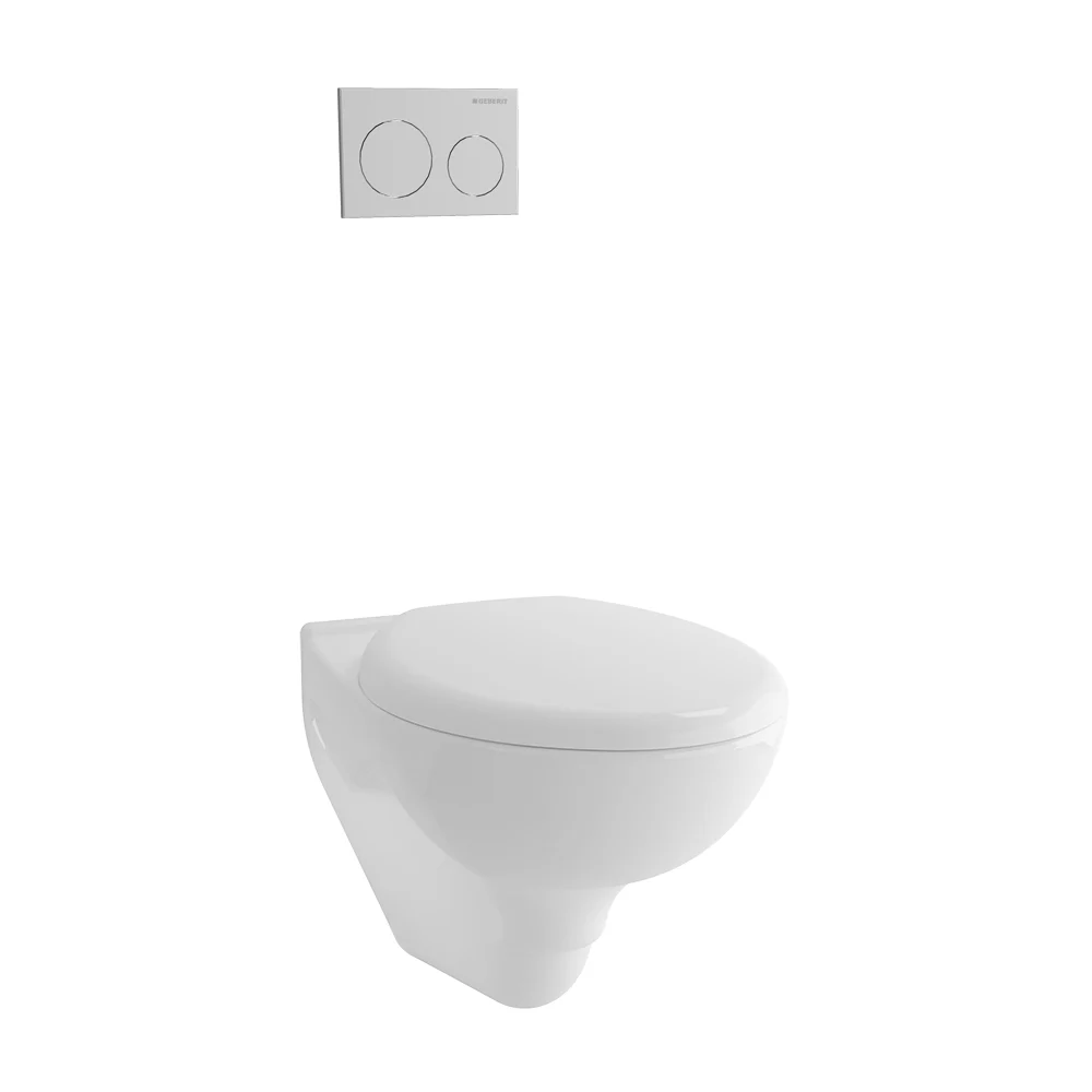 Single Bowl Wall Hung