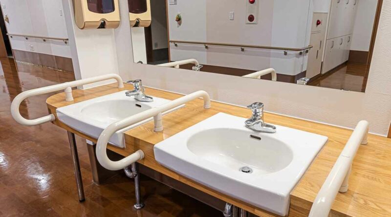 sanitary adalah