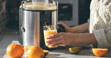 juicer buah dan sayur
