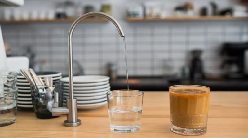 fungsi water purifier