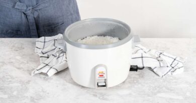 rice cooker vs magic com
