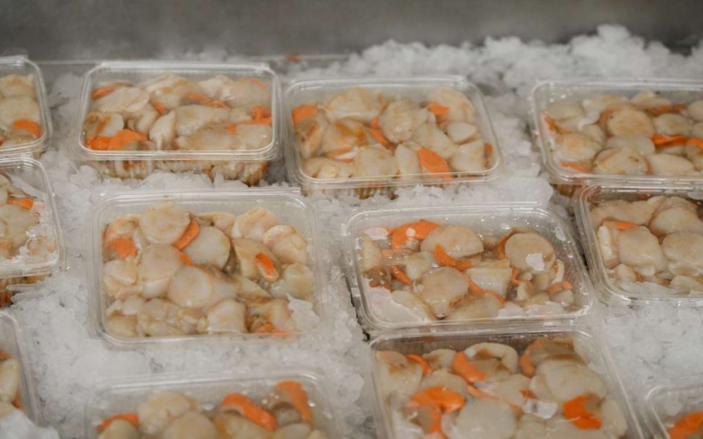 freezer frozen food pengawet makanan dan minuman