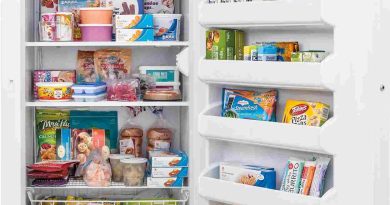 Upright Freezer 11zon