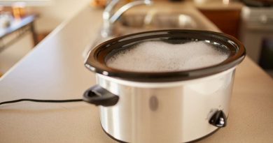 fungsi slow cooker