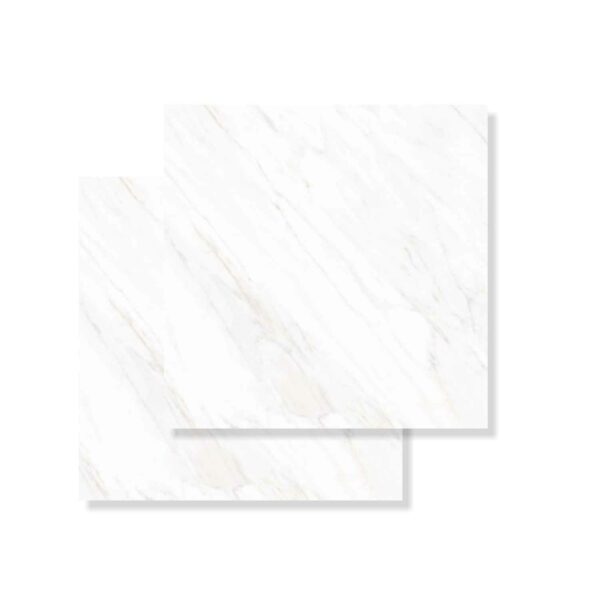 Granit Lantai 60x60 ROMAN dSalvadori White KW1